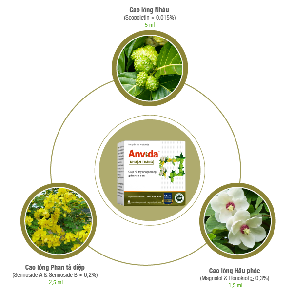  Anvida Nhuận Tràng Anvy 20 ống - Viên uống hỗ trợ nhuận tràng 