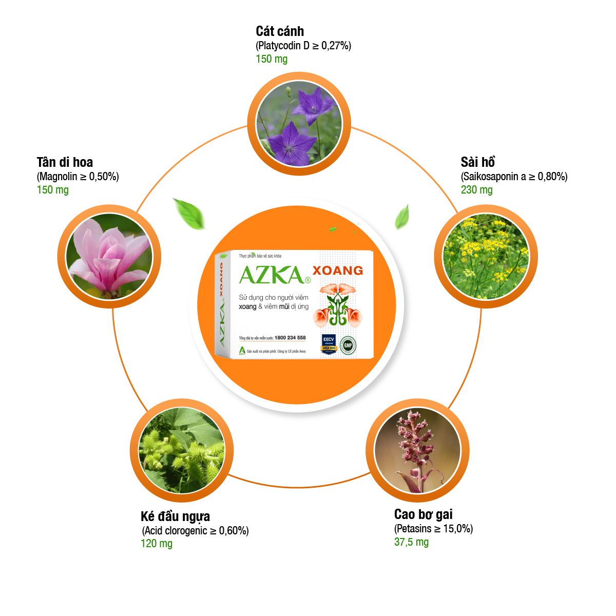  AZKA XOANG Anvy H/3 vỉ x 10 viên 