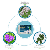  Cikan An Thần Anvy 3 vỉ x 10 viên - Viên uống hỗ trợ ngủ ngon 