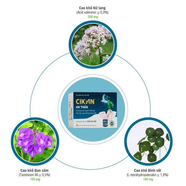  Cikan An Thần Anvy 3 vỉ x 10 viên - Viên uống hỗ trợ ngủ ngon 