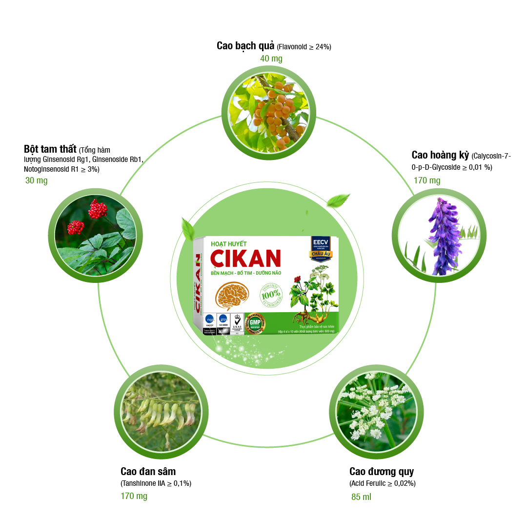  Viên uống Hoạt Huyết Cikan Anvy bền mạch, bổ tim, dưỡng não (4 vỉ x 10 viên) 