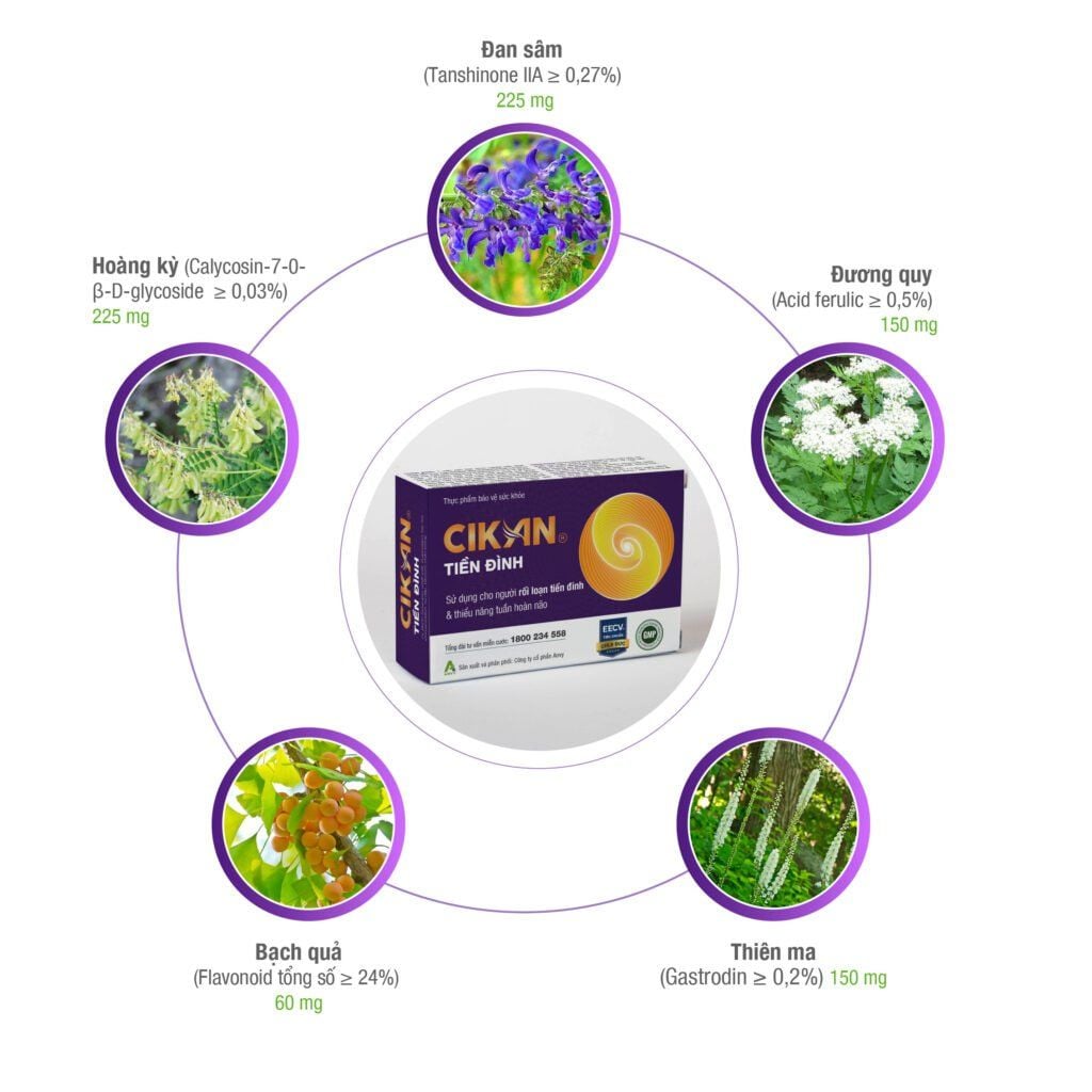  Cikan Tiền Đình Anvy 3 vỉ x 10 viên - Viên uống hỗ trợ tuần hoàn máu não 