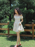  VINTAGE ROSE DRESS 