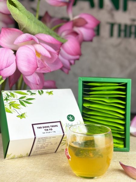  Trà Đông Trùng Tía Tô 