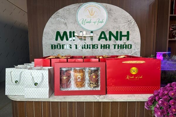  Hộp Quà Đông Trùng Hạ Thảo Dâu Tây 