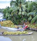  SÔNG THOM - CHỢ NỔI XỨ DỪA - CỒN CHIM - TRÀ VINH 