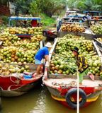  SÔNG THOM - CHỢ NỔI XỨ DỪA - CỒN CHIM - TRÀ VINH 