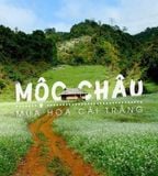  MAI CHÂU - MỘC CHÂU - ĐIỆN BIÊN 