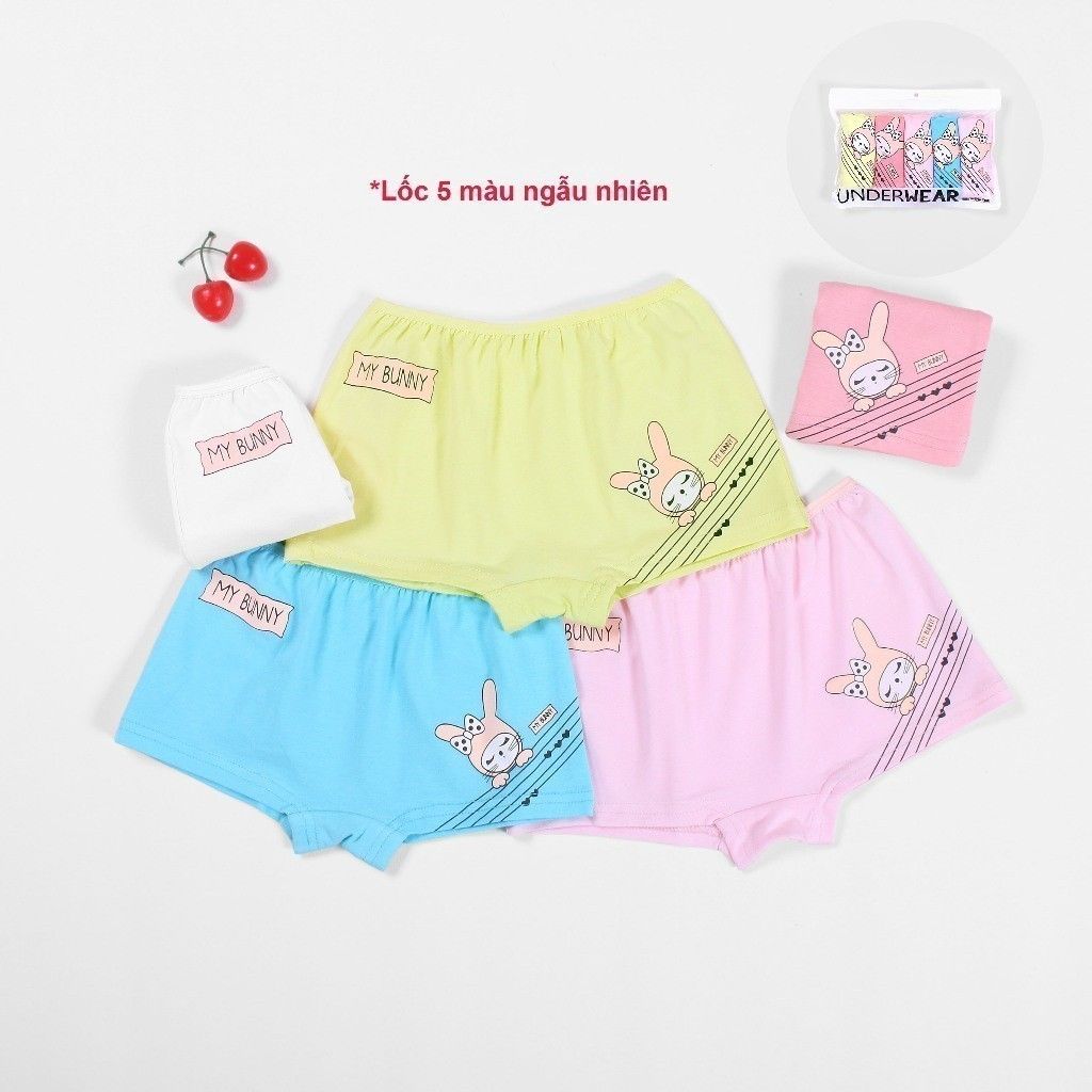 Set 5 Quần Chip Đùi In Hình Thỏ Bunny Bé Gái