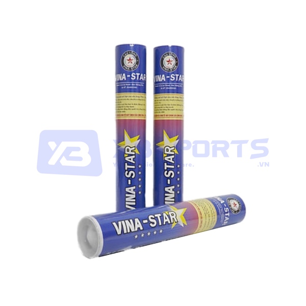 Ống Cầu Lông Vina Star loại 2