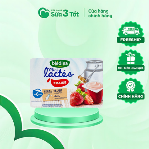 Sữa Chua Pháp Bledina Vị Dâu
