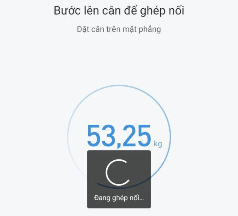 cach-su-dung-can-xiaomi-scale-11-vinet