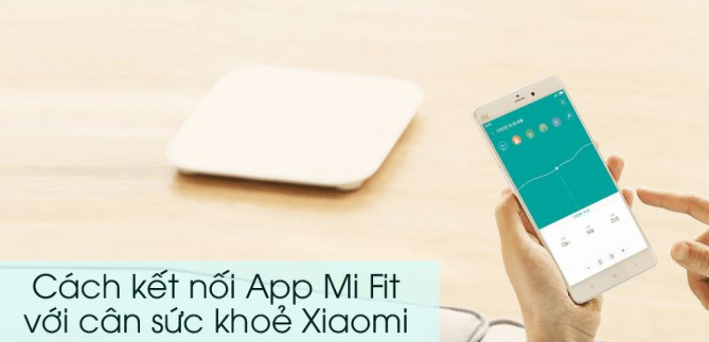 cach-su-dung-can-xiaomi-scale-9-vinet
