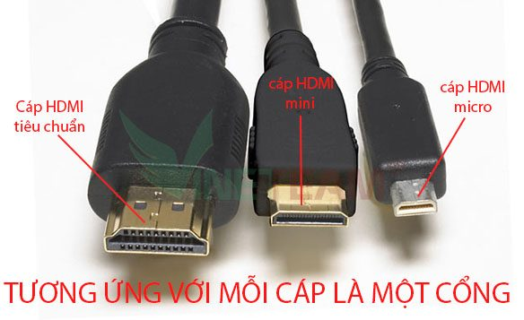 Cổng hdmi có những loại chuẩn nào sau đây