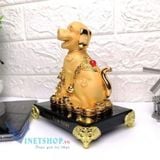  Tượng Chó Phong Thủy  Mang Lại Tài Lộc, May Mắn 