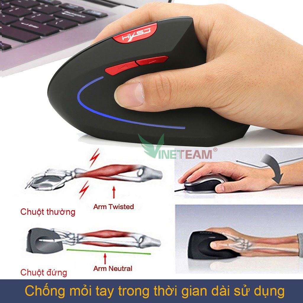 Chuột Công Thái Học Là Gì? Lợi Ích Của Chuột Công Thái Học 16 Chuột Công Thái Học Là Gì? Lợi Ích Của Chuột Công Thái Học