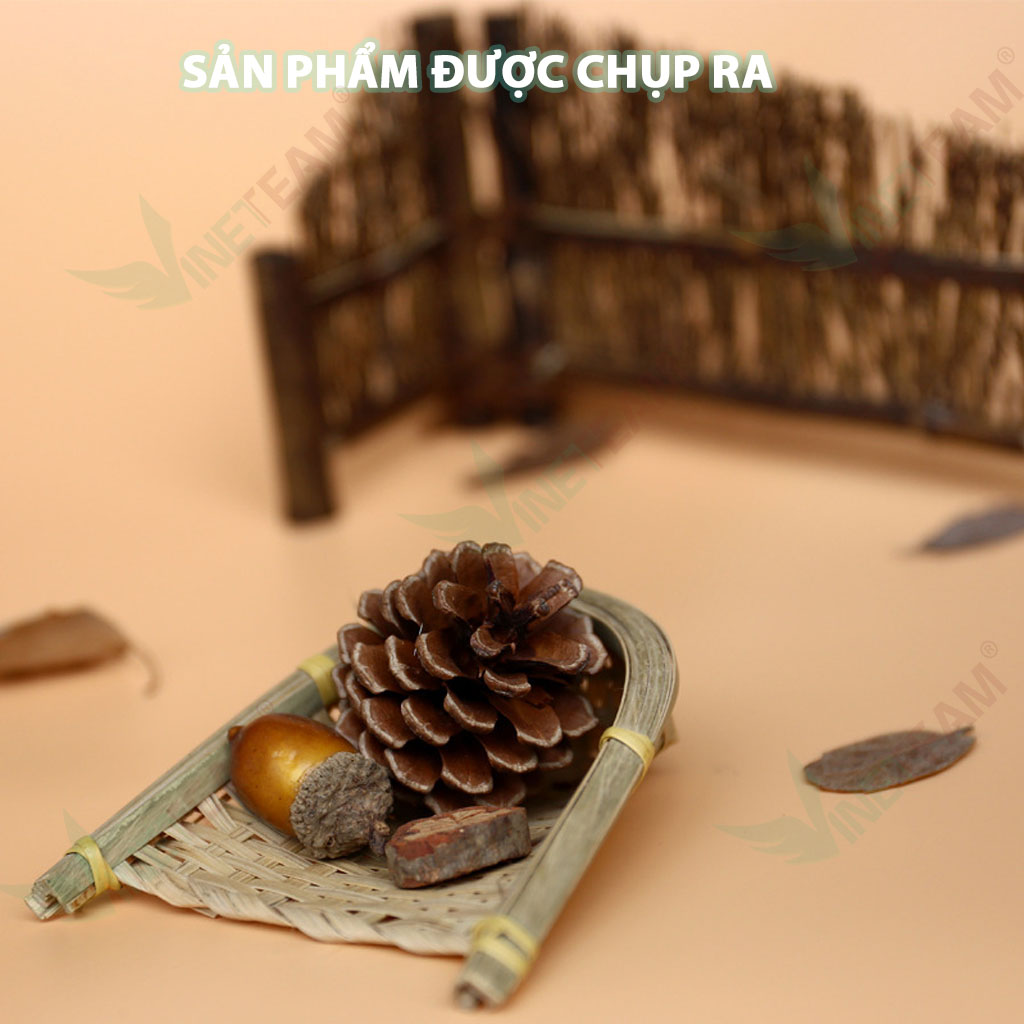 Hộp chụp sản phẩm 60x60