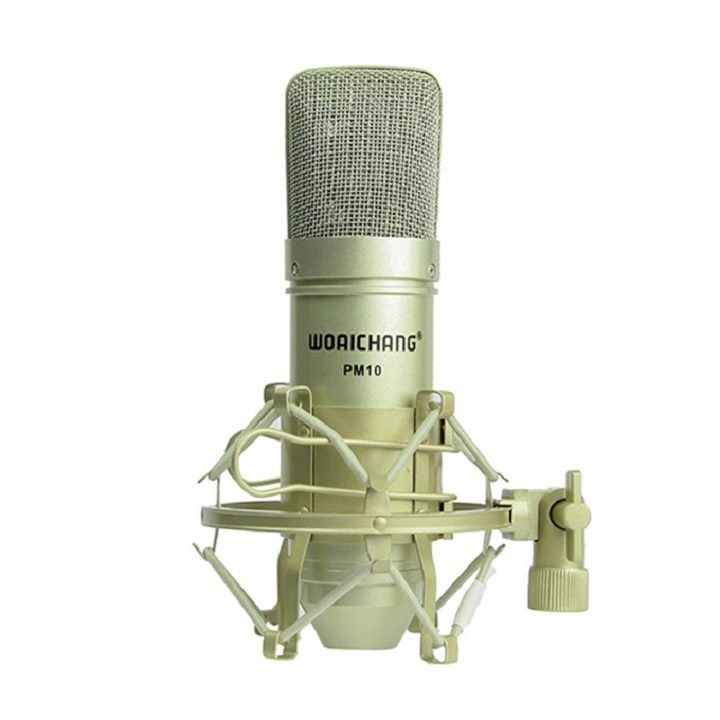 Micro Thu Âm Woaichang PM10