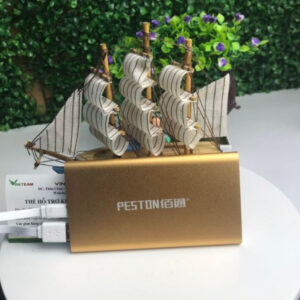 Pin sạc dự phòng Litinum Peston Litinum 10000mAh