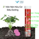  Lọ Phân Bón Hữu Cơ Tan Chậm 22 viên Siêu Dinh Dưỡng Cho Cây Cảnh Bonsai Hoa Lan 