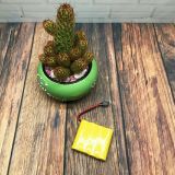  Bộ 4 viên Pin AA thông minh sạc lại được Ni-cd 1.2v dung lượng 700mah - dc2577 