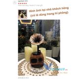  Loa Buletooth Không Dây Tích Hợp Đài FM Hỗ Trợ Thẻ Nhớ FT Pin Siêu Trâu FT-05 -DC3797 