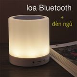  Loa di động cảm ứng kiêm đèn ngủ -DC2308 