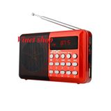  Loa nghe nhạc Thẻ nhớ USB có FM Craven CR-31 -dc2425 