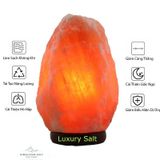  [Đèn Phong Thủy] Đèn Đá Muối cao cấp đủ Size Chế Tác Tự Nhiên Nhập Khẩu Chính Hãng Himalaya -dc3197 