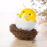  Đèn ngủ cảm ứng hình gà con siêu dễ thương cảm biến ánh sáng thông minh công tắc tự động siêu tiết kiệm điện 