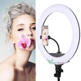  Đèn LED Livestream Đa Năng - Chuyên Nghiệp, Tiện Lợi, giá đỡ 3 chân led nhiều chế độ 