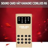  Sound card hát karaoke Cidblues R6 dc2986 