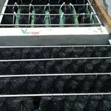  Chổi lọc bể cá - Vật liệu lọc bể cá chổi -dc4617 
