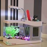  Bể Cá Mini Hồ Cá Cảnh Mini Kiêm Đồ Hồ Để Bàn Siêu Đẹp (Tặng Kèm Đá Và Cây Cảnh) 