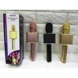  Mic karaoke sd13 kết nối bluetooth bảo hành 1 đổi 1 trong 3 tháng -dc2180 