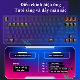  Bàn Phím Cơ Gaming Phím ZIYOULANG K2 / k80 87 Phím Blue Switch Mechanical Led Rainbow Nhiều Chế Độ 