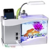  Bể Cá Mini Hồ Cá Cảnh Mini Kiêm Đồ Hồ Để Bàn Siêu Đẹp (Tặng Kèm Đá Và Cây Cảnh) 