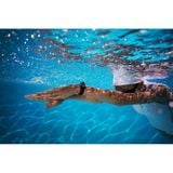  Vòng đeo tay thông minh theo dõi sức khỏe Xiaomi Mi Band 4 / MiBand 4 Nguyên seal Chính hãng -Màu đen -dc3670 