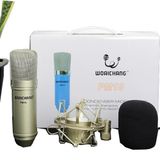  Micro Thu Âm Hat Karaoke Woaichang PM10 dc3392 