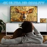  Video capture card HDMI USB 3.0 Livestream 4K 30hz 1080P 60hz cho máy ảnh, PS4, XBOX, PC, Laptop 