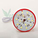  Bóng Đèn Led Bulb USB siêu sáng 5W ( Ánh sáng Trắng ) 