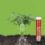  Lọ Phân Bón Hữu Cơ Tan Chậm 22 viên Siêu Dinh Dưỡng Cho Cây Cảnh Bonsai Hoa Lan 