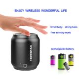  Loa bluetooth cao cấp HopeStar H8 - Âm thanh cực phê -DC3014 