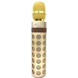  Micro Kèm Loa Karaoke Bluetooth Nhập Khẩu Cao Cấp KTV K8 Có Khe Cắm Thẻ Nhớ 3 Trong 1-DC3345 