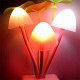  Đèn Ngủ Cây Nấm Cảm Ứng Ánh Sáng Avatar tự động bật vào buổi tối - nhiều mẫu mã 