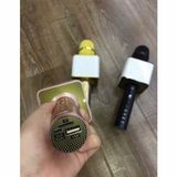  Free ship] Mic kèm loa sd-08 vesion 2 