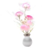  [HOT] ĐÈN NGỦ CẢM ỨNG TỰ ĐỘNG SÁNG VÀ ĐỔI MÀU NẤM HOA HỒNG 