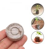  Viên nén xơ dừa, 10, 20, 50 viên, ươm hạt giống trồng cây, ươm hạt, ươm cây giống, trồng dâu tây, thuỷ canh -dc5066 