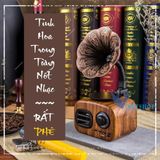  Loa Buletooth Không Dây Tích Hợp Đài FM Hỗ Trợ Thẻ Nhớ FT Pin Siêu Trâu FT-05 -DC3797 