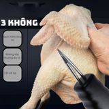 Máy Nhổ Lông Gà Vịt Cầm Tay Chạy Pin Đa Năng Sạch Lông Nhanh Chóng 